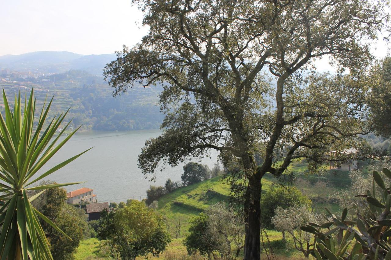 Quinta Das Quintas & Spa Baião المظهر الخارجي الصورة