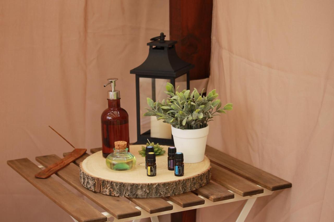 Quinta Das Quintas & Spa Baião المظهر الخارجي الصورة