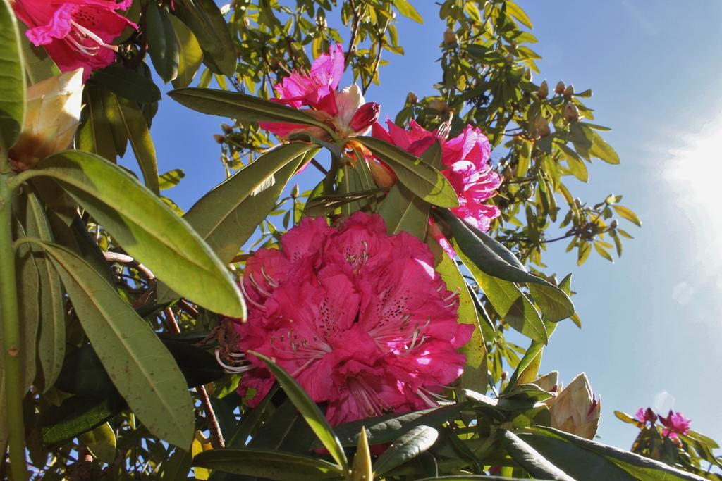 Quinta Das Quintas & Spa Baião المظهر الخارجي الصورة