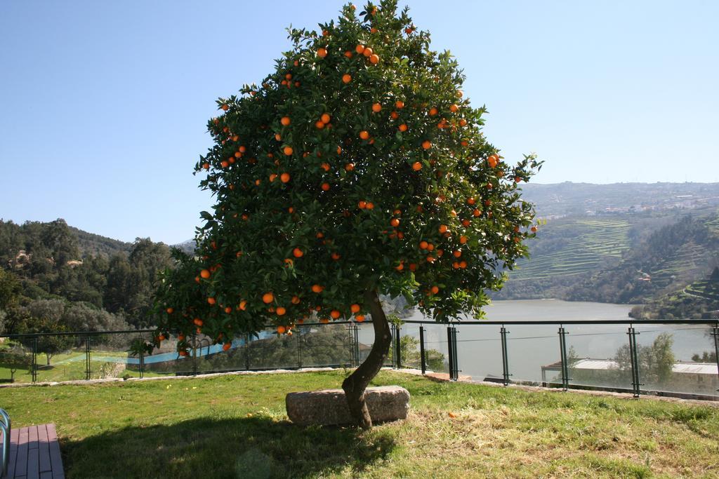 Quinta Das Quintas & Spa Baião المظهر الخارجي الصورة