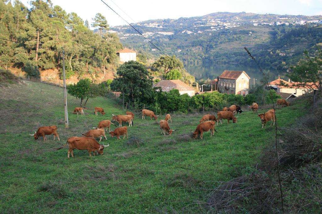 Quinta Das Quintas & Spa Baião المظهر الخارجي الصورة