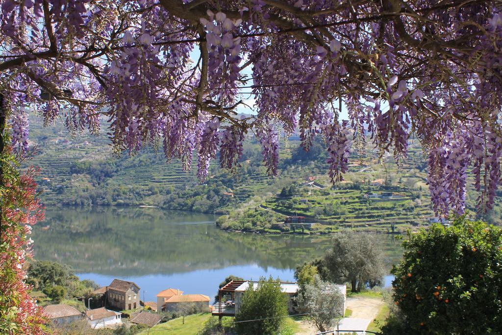 Quinta Das Quintas & Spa Baião المظهر الخارجي الصورة